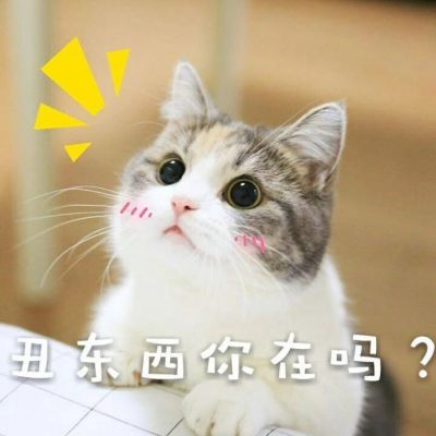 免费操逼软件下载窗口 - mgm