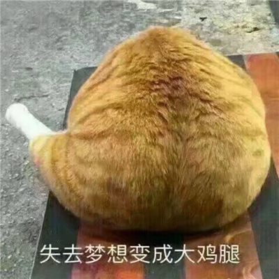  重度辱骂m的词  -  综述| 
